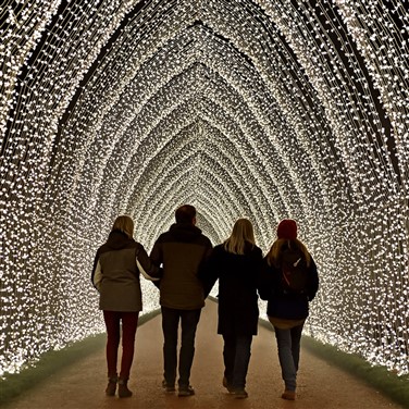 Edinburgh Christmas Market & Botanic Lights