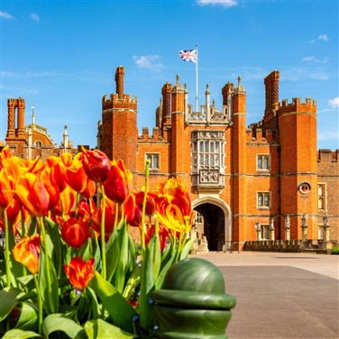 Hampton Court Tulip Festival & RHS Wisley