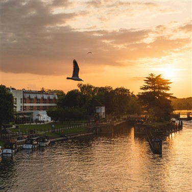 Warner Runnymede on Thames Festive Retreat