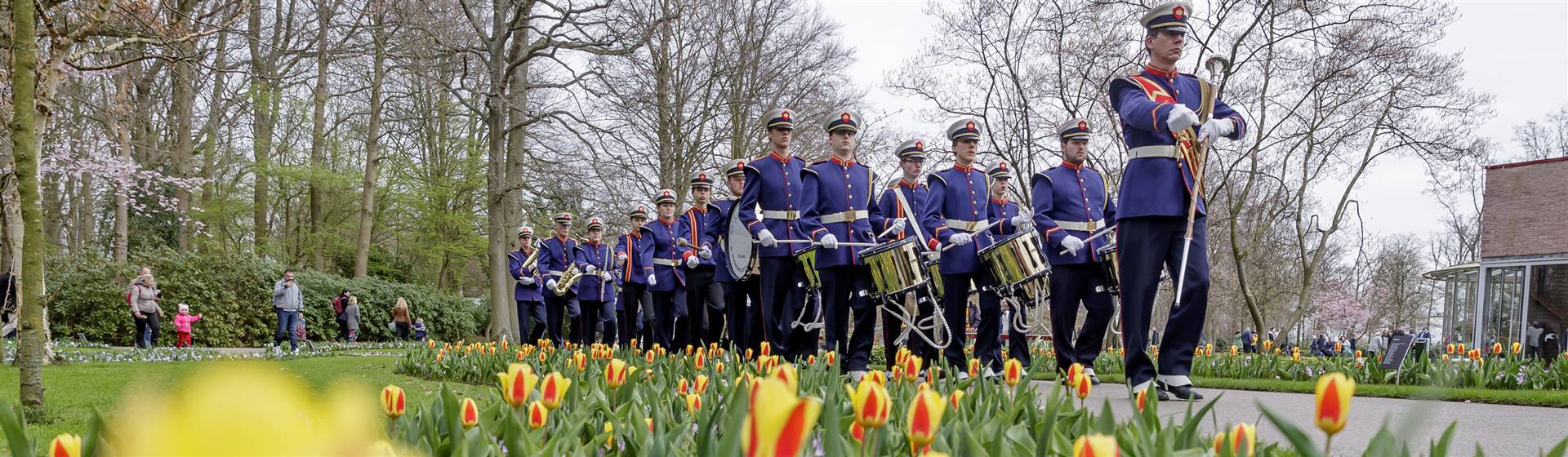 Dutch Bulbfields & Amsterdam