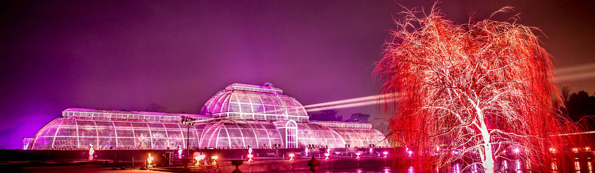 Hampton Court Festive Fayre & Kew Lights