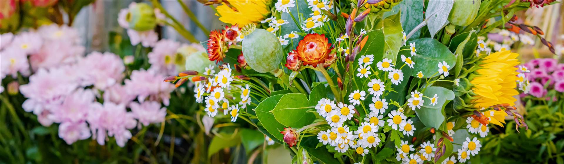 Harrogate Spring Flower Show