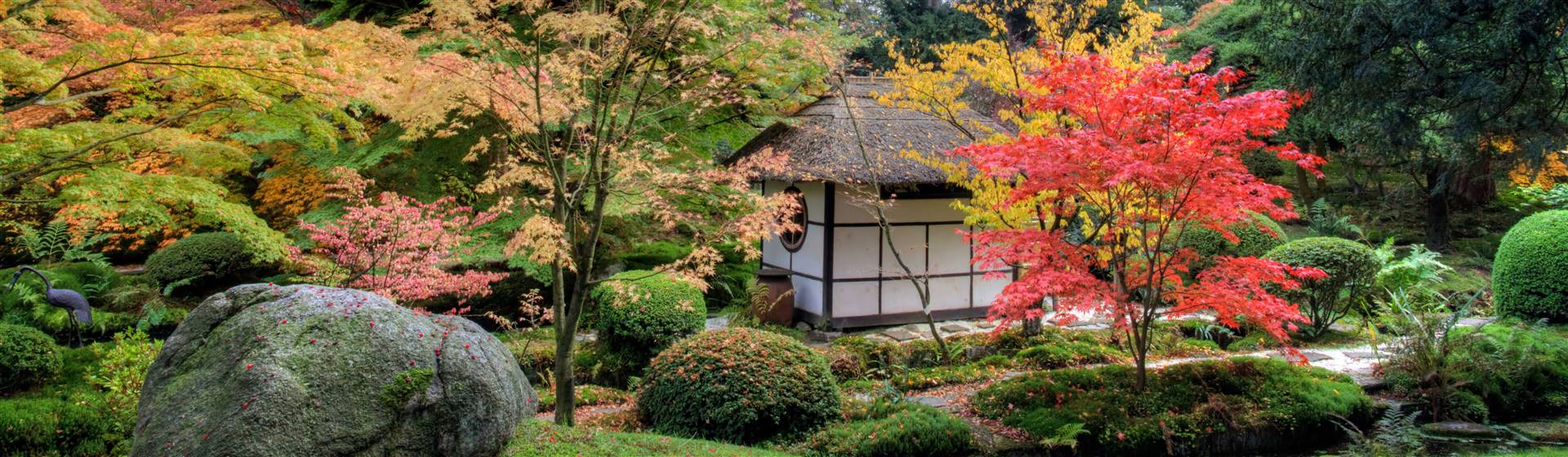 The Japanese Garden at Tatton Park Estate & Gardens in Cheshire
