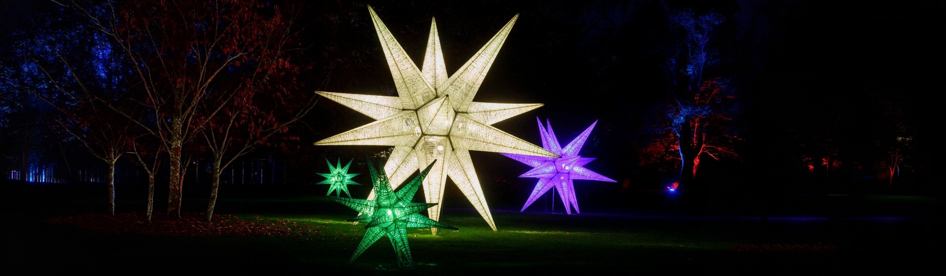 RHS Bridgewater GLOW & Festive Lunch Cruise